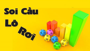 Làm sao để bắt lô rơi hiệu quả? Làm sao để bắt lô rơi hiệu quả?
