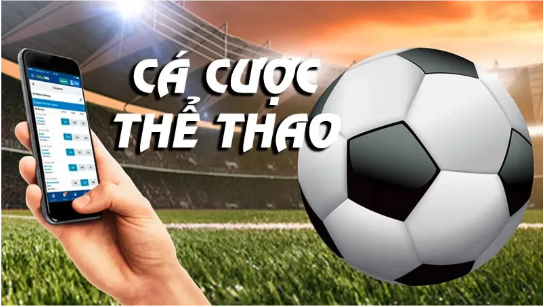 Cá Cược Thể Thao Go88